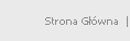 Strona Gwna